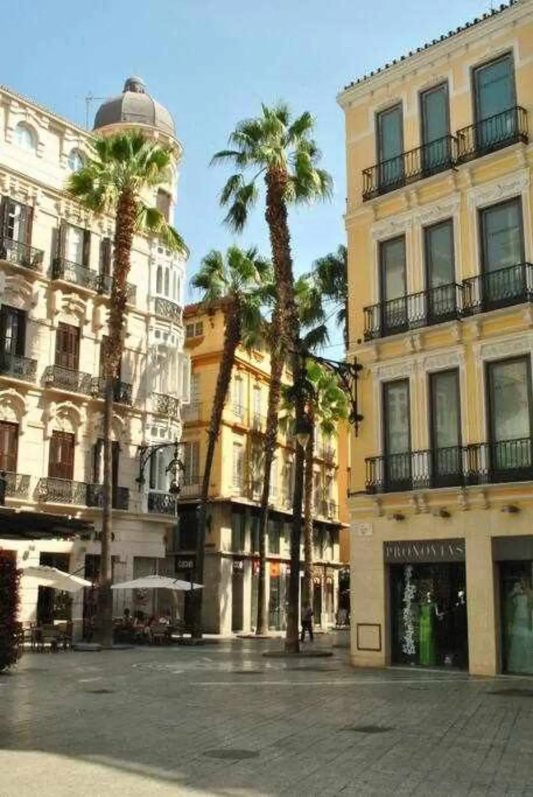 Calle peatonal con palmeras y edificios históricos en el centro de Málaga