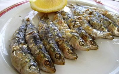 Gastronomia en Málaga, una experiencia para tu paladar